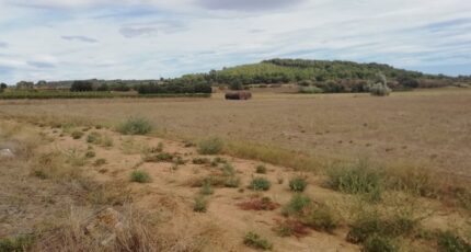 Lignan-sur-Orb Maison neuve - 2389619-11018annonce320260112UJ0t9.jpeg Maisons de Manon