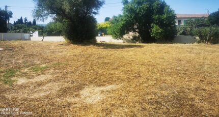 Aubagne Terrain à bâtir - 2390535-10271annonce120260113HF7Cq.jpeg Maisons de Manon