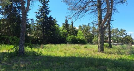 La Bastide-des-Jourdans Maison neuve - 2390443-6932annonce120251211glx2C.jpeg Maisons de Manon