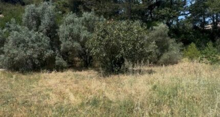 Aubagne Terrain à bâtir - 2391228-7054annonce120260113V1dLE.jpeg Maisons de Manon