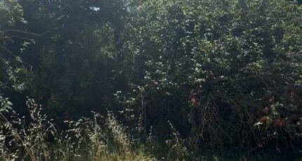 Aubagne Terrain à bâtir - 2391228-7054annonce120260113qBUFM.jpeg Maisons de Manon