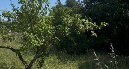 Aubagne Maison neuve - 2391257-7054annonce320260113KS7g0.jpeg Maisons de Manon