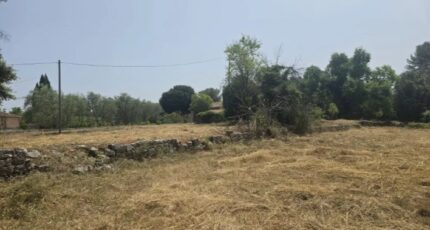 Grasse Terrain à bâtir - 2390097-11719annonce220260112xKvkS.jpeg Maisons de Manon