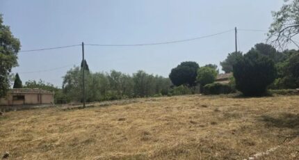 Grasse Terrain à bâtir - 2390097-11719annonce320260112AKd5K.jpeg Maisons de Manon