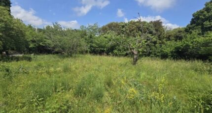 Cabris Terrain à bâtir - 2390243-11719annonce220260113uOZCJ.jpeg Maisons de Manon