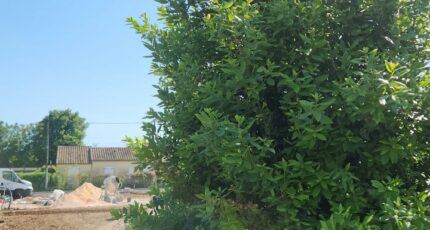 La Crau Terrain à bâtir - 2325097-11077annonce320251031lcBTW.jpeg Maisons de Manon