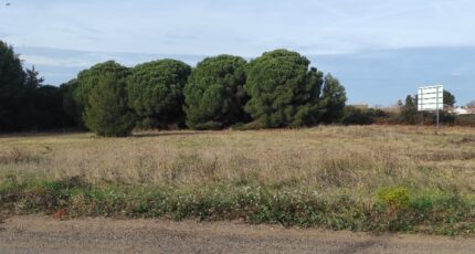 Autignac Maison neuve - 2395493-11018annonce120260116hBaH0.jpeg Maisons de Manon