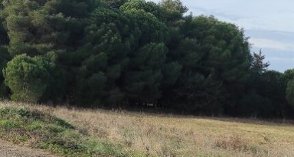 Autignac Maison neuve - 2395503-11018annonce220260116W3rxv.jpeg Maisons de Manon