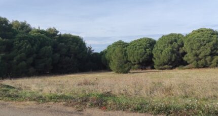 Autignac Maison neuve - 2395491-11018annonce320260116FnPlJ.jpeg Maisons de Manon