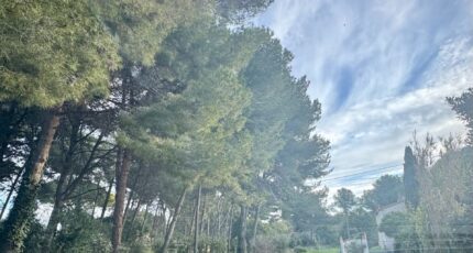 Saint-Chamas Maison neuve - 2397370-7054annonce4202601198lwDk.jpeg Maisons de Manon