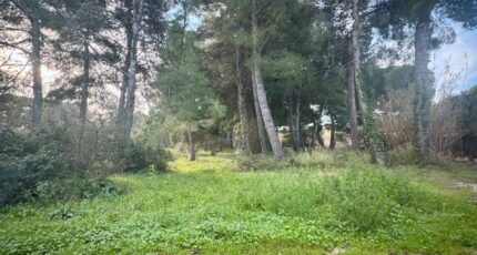 Saint-Chamas Maison neuve - 2397425-7054annonce320260119cz38C.jpeg Maisons de Manon