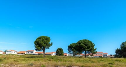 Latour-Bas-Elne Maison neuve - 2313339-11457annonce120251022WT2MX.jpeg Maisons de Manon