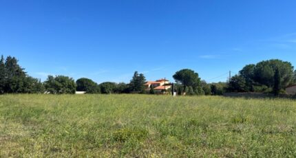 Thuir Maison neuve - 2310992-11457annonce120251020JInv3.jpeg Maisons de Manon