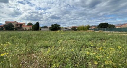 Ille-sur-Têt Maison neuve - 2321127-11457annonce1202510297odI9.jpeg Maisons de Manon