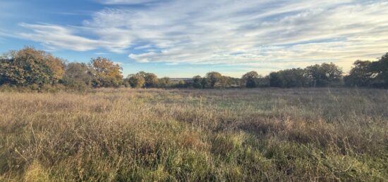 Terrain à bâtir à Garrigues-Sainte-Eulalie, Occitanie