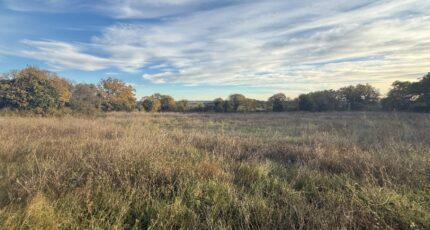 Garrigues-Sainte-Eulalie Maison neuve - 2398184-609annonce1202601195sShV.jpeg Maisons de Manon