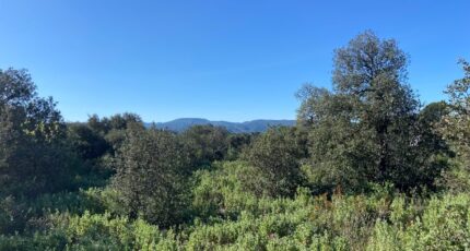 Puget Terrain à bâtir - 2398735-7060annonce120250418E8bZ5.jpeg Maisons de Manon