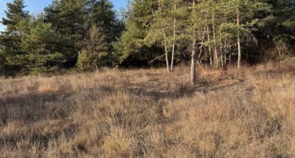 Tallard Terrain à bâtir - 2399286-11714annonce120260120uh6ck.jpeg Maisons de Manon