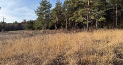 Tallard Maison neuve - 2399380-11714annonce1202601205vglk.jpeg Maisons de Manon