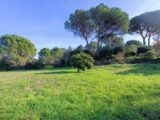 Terrain à bâtir à Vidauban (83550) 2399307-9911annonce420260120yNMtI.jpeg Maisons de Manon