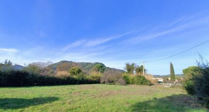 Vidauban Maison neuve - 2399331-9911annonce22026012010pIS.jpeg Maisons de Manon