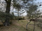 Terrain à bâtir à Salernes (83690) 2400018-11723annonce120260121qXGXB.jpeg Maisons de Manon