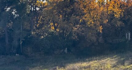 Aubagne Terrain à bâtir - 2305000-7054annonce220251014TEi72.jpeg Maisons de Manon