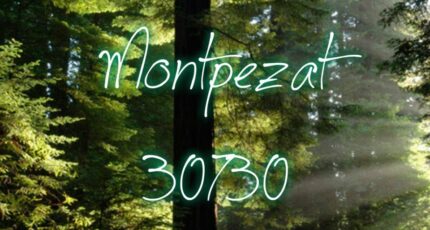 Montpezat Terrain à bâtir - 2401392-3243annonce220250922GdpOk.jpeg Maisons de Manon