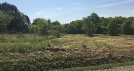 Montpezat Maison neuve - 2401393-3243annonce120250922dg4Al.jpeg Maisons de Manon