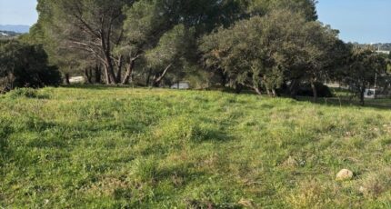 Fréjus Terrain à bâtir - 2401645-5826annonce1202601224deJm.jpeg Maisons de Manon