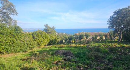 Array Terrain à bâtir - 2406485-11719annonce120260126n5MG9.jpeg Maisons de Manon