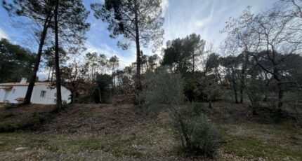 Salernes Maison neuve - 2406191-11723annonce720260127FI9TK.jpeg Maisons de Manon