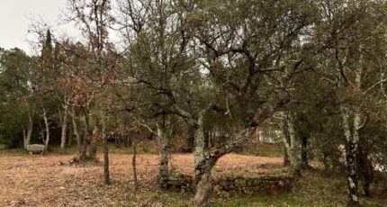 Vidauban Terrain à bâtir - 2409358-11723annonce420260127kOIQ6.jpeg Maisons de Manon