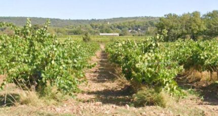 Pourrières Maison neuve - 2409339-7054annonce320260127pbcMe.jpeg Maisons de Manon