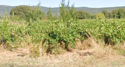 Pourrières Maison neuve - 2409367-7054annonce22026012773I4s.jpeg Maisons de Manon