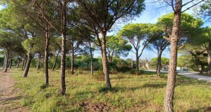 Puget-sur-Argens Terrain à bâtir - 2410387-9911annonce120260128pPNkr.jpeg Maisons de Manon