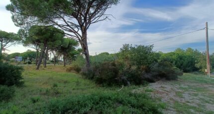 Puget-sur-Argens Maison neuve - 2410411-9911annonce420260128AXodI.jpeg Maisons de Manon