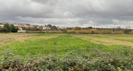 Puisserguier Maison neuve - 2411554-11018annonce320260129N0xVK.jpeg Maisons de Manon