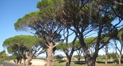 Sallèles-d'Aude Terrain à bâtir - 2413507-692annonce120260130tpClD.jpeg Maisons de Manon