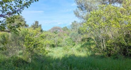 Montpellier Terrain à bâtir - 2348086-609annonce120251125rKA9Z.jpeg Maisons de Manon