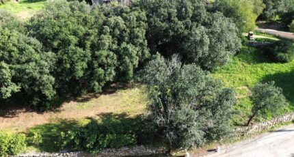 Plaissan Maison neuve - 2362466-10896annonce220251209NODnA.jpeg Maisons de Manon