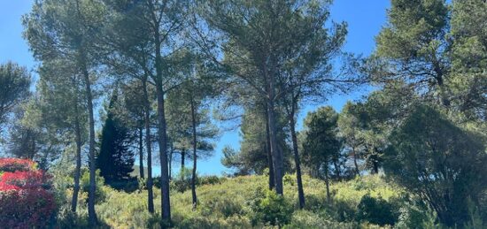 Terrain à bâtir à , Hérault