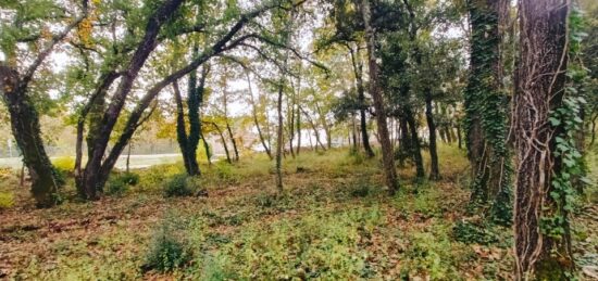 Terrain à bâtir à Trans-en-Provence, Provence-Alpes-Côte d'Azur