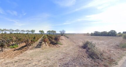 Alignan-du-Vent Maison neuve - 2375617-11018annonce420250903C88A4.jpeg Maisons de Manon