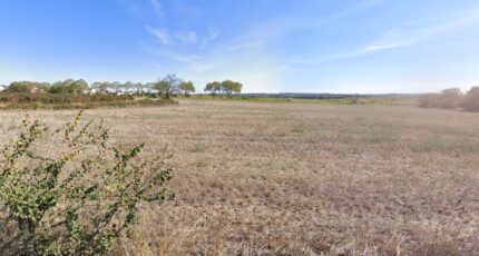 Alignan-du-Vent Maison neuve - 2375614-11018annonce220250903uK5Um.jpeg Maisons de Manon