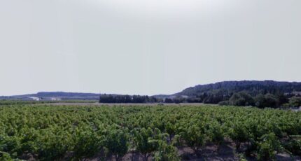 Roquefort-des-Corbières Terrain à bâtir - 2375454-692annonce120251223ggZy8.jpeg Maisons de Manon