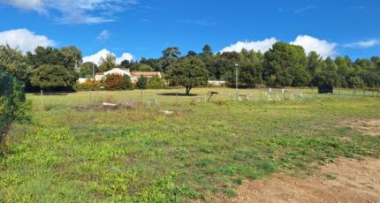 Vinon-sur-Verdon Maison neuve - 2384809-6932annonce120260107FVMOP.jpeg Maisons de Manon