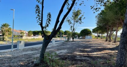 Aigues-Mortes Maison neuve - 2366489-3243annonce120251212J6Bcb.jpeg Maisons de Manon