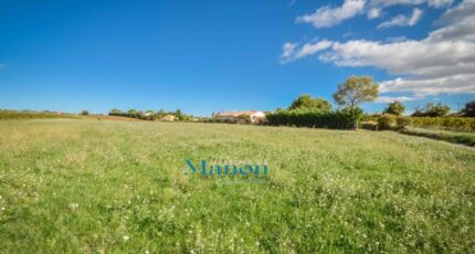 Bassan Maison neuve - 2392518-11018annonce420260114ZNw34.jpeg Maisons de Manon