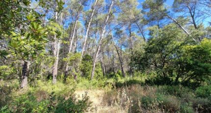 Bagnols-en-Forêt Terrain à bâtir - 2399831-9911annonce320260120FJt9u.jpeg Maisons de Manon